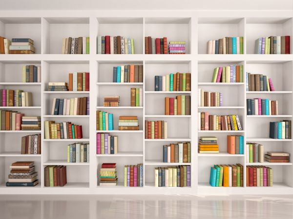 Bookshelf Assembly in Milford
